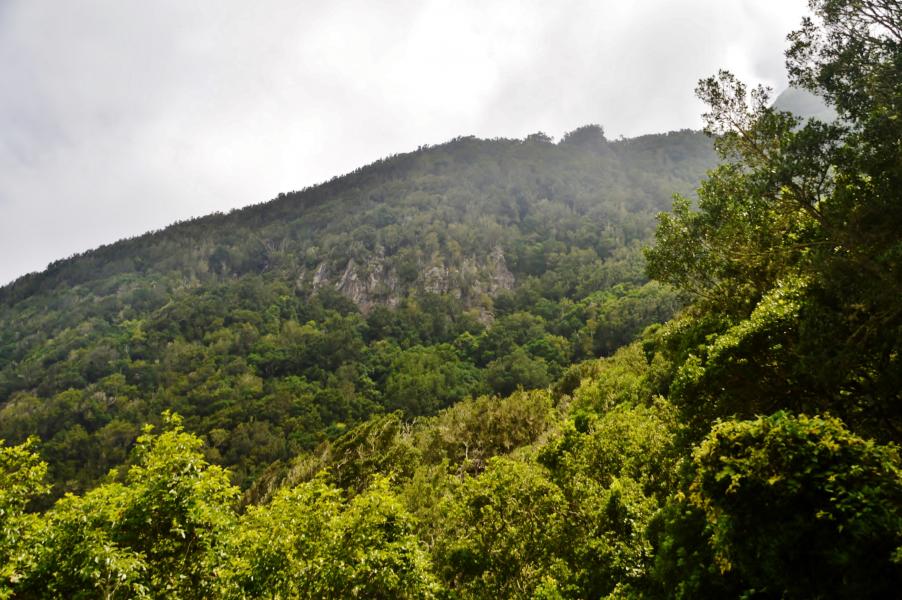 Anaga Gebirge