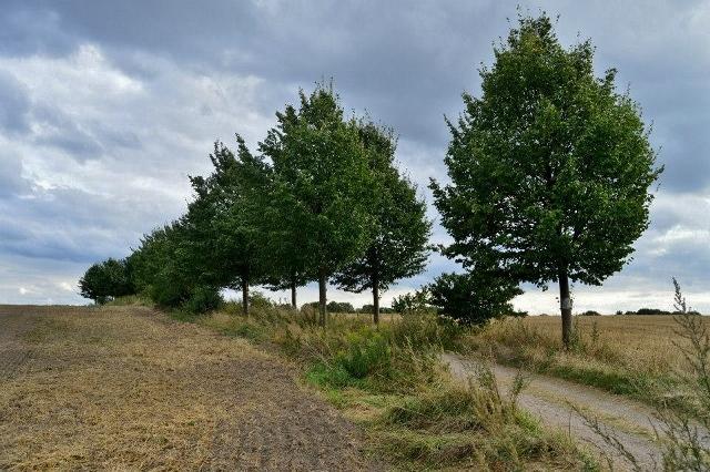 FeldwegBerlin - Malchow