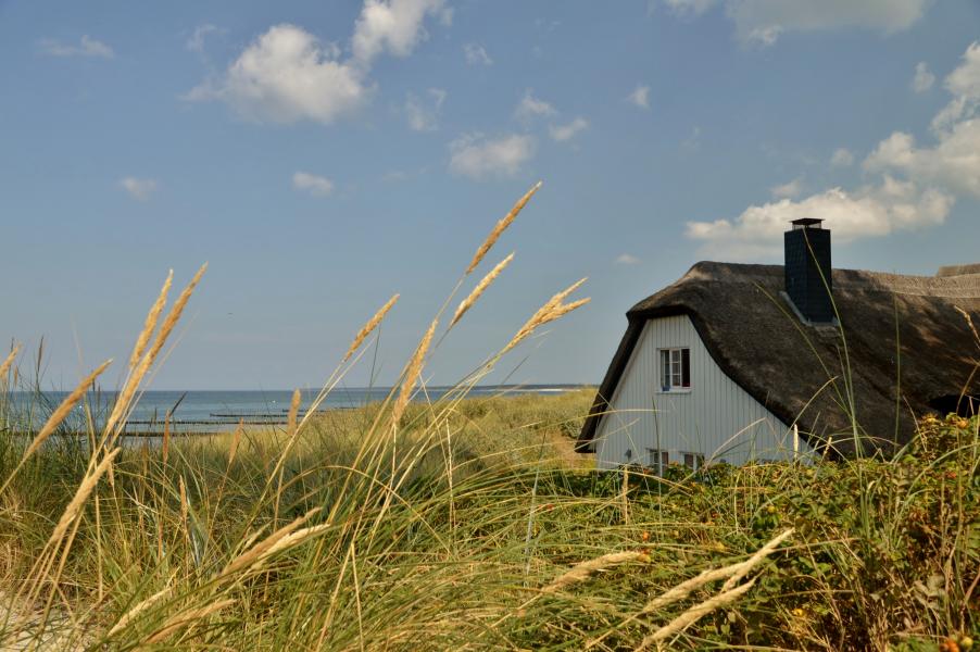 Ahrenshoop D&uuml;nen