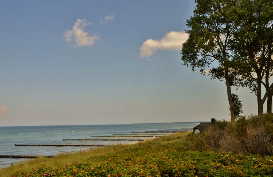 Ahrenshoop D&uuml;nen