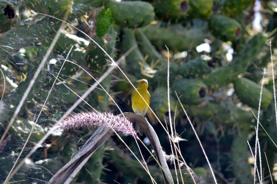 Jardin Botanico