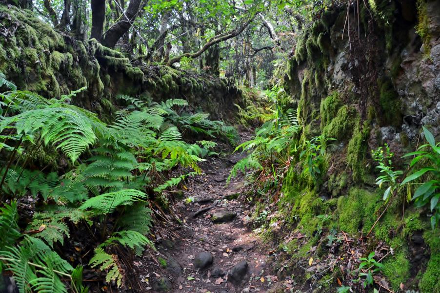 Anaga Gebirge