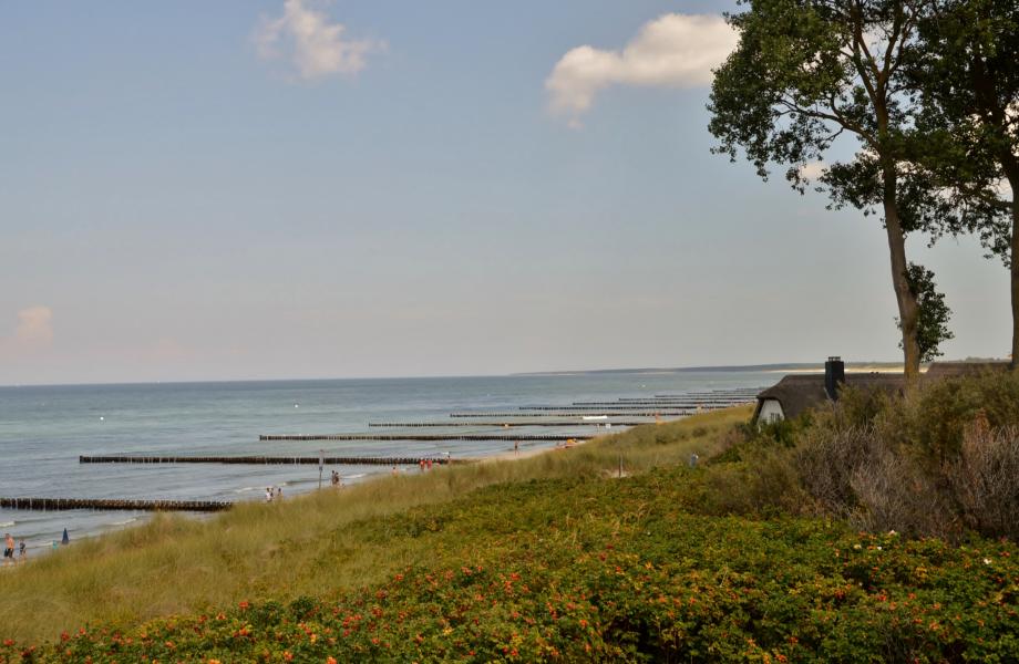 Ahrenshoop D&uuml;nen