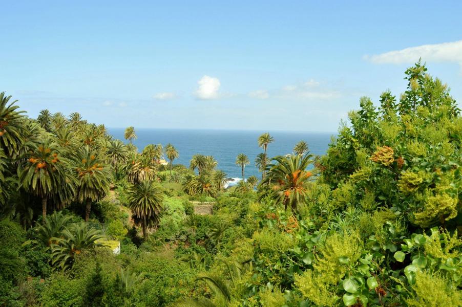 Landschaftsschutzgebiet Rambla de Castro