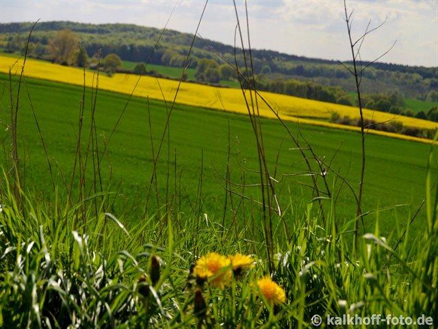 Blick vom Jarsenberg