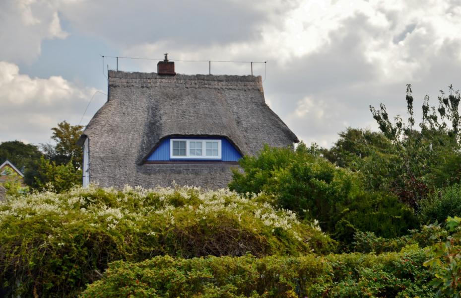 Ahrenshoop