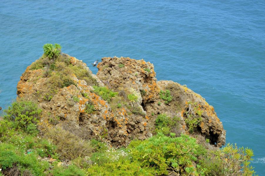 Landschaftsschutzgebiet Rambla de Castro