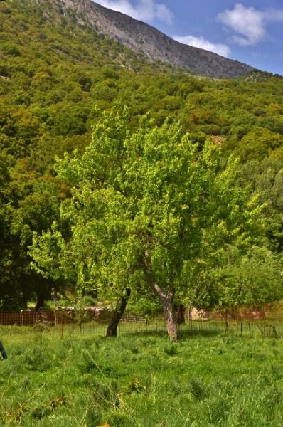 Lassithi HochebeneKreta