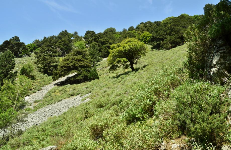 Imbros Schlucht
