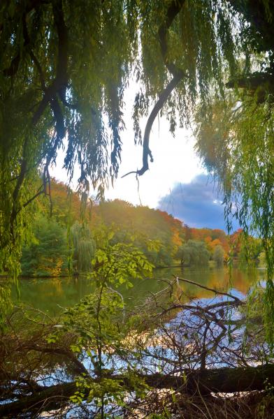Obersee