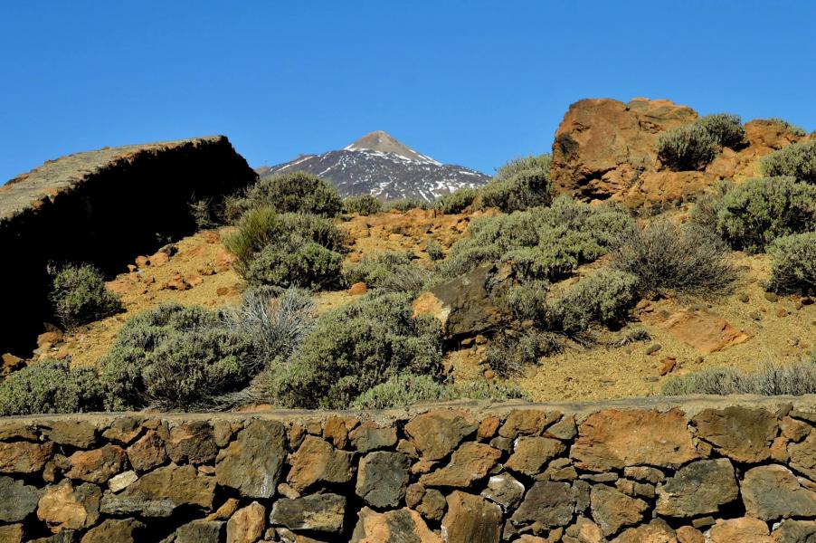 Parque National del Teide