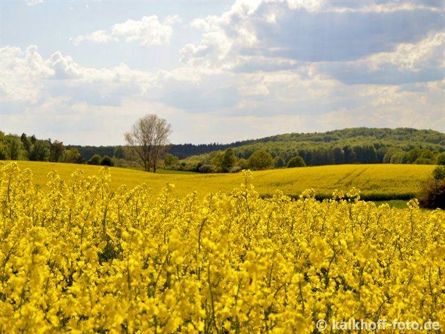 Blick vom Jarsenberg