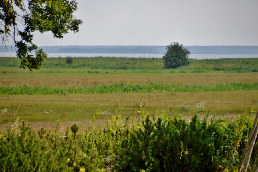 Ahrenshoop Bodden
