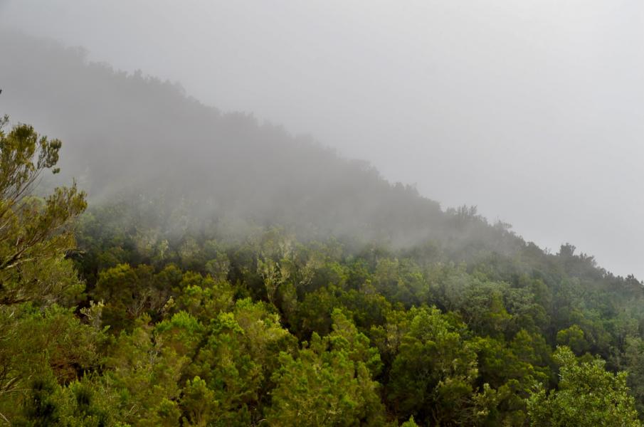 Anaga Gebirge