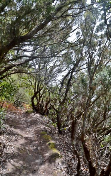Anaga Gebirge