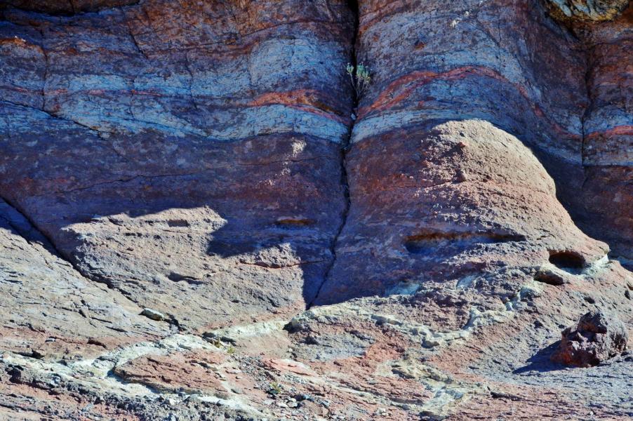 Parque National del Teide