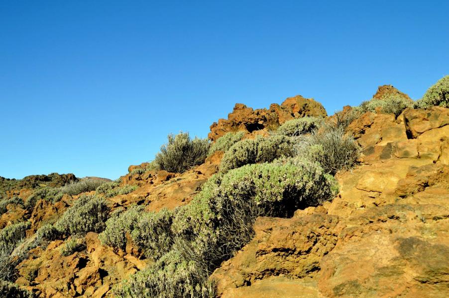 Parque National del Teide