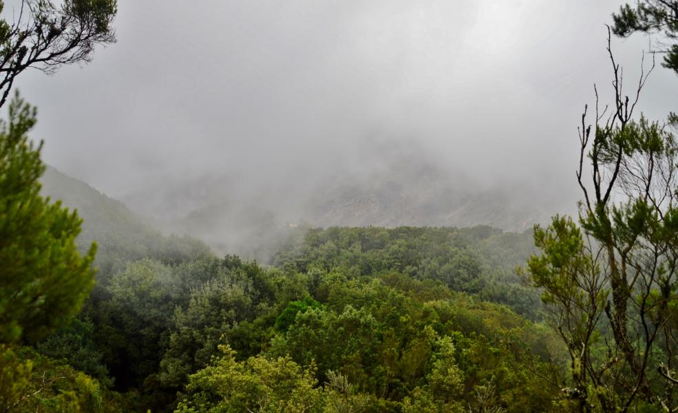 Anaga Gebirge