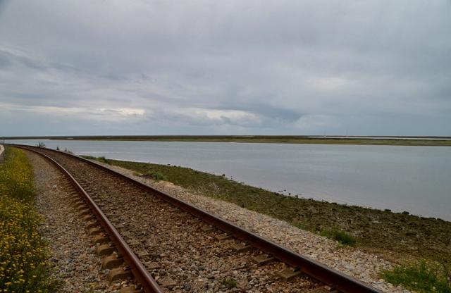 Lagunenlandschaft -Ria Formosa