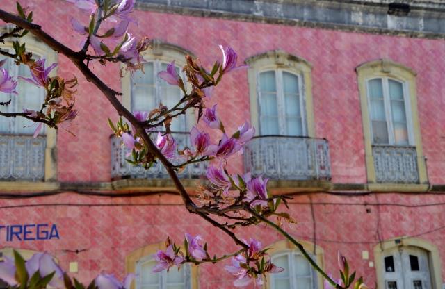 Silves