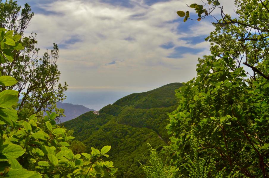 Anaga Gebirge