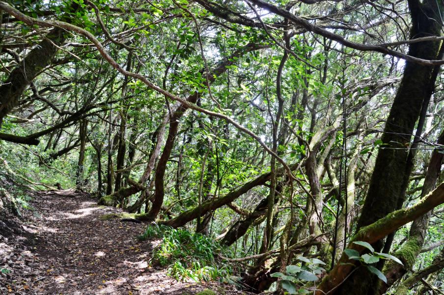 Anaga Gebirge