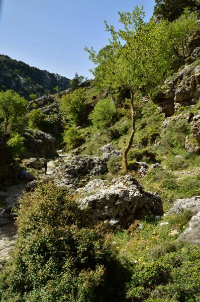 Imbros Schlucht