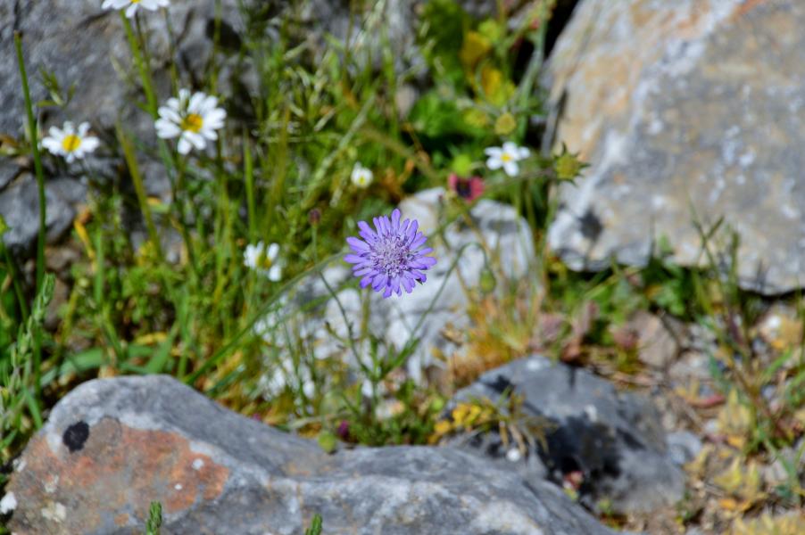 Imbros Schlucht