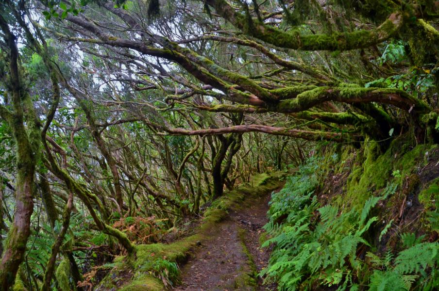 Anaga Gebirge