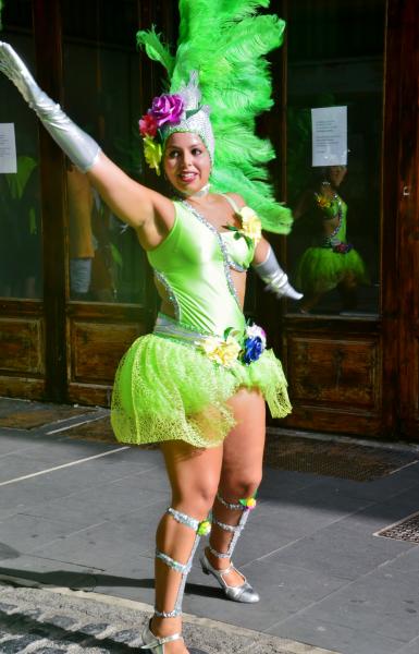 Carnaval de Verano