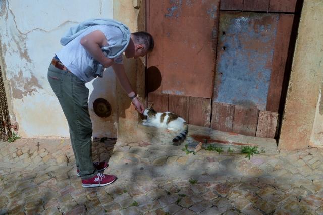 Kater I & II