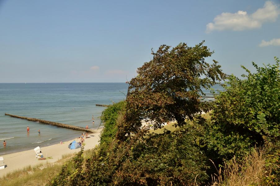 Ahrenshoop K&uuml;ste
