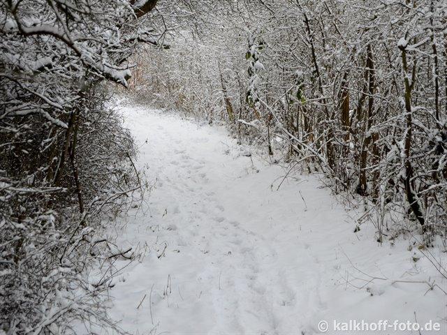 Aufstieg zum Jasenberg