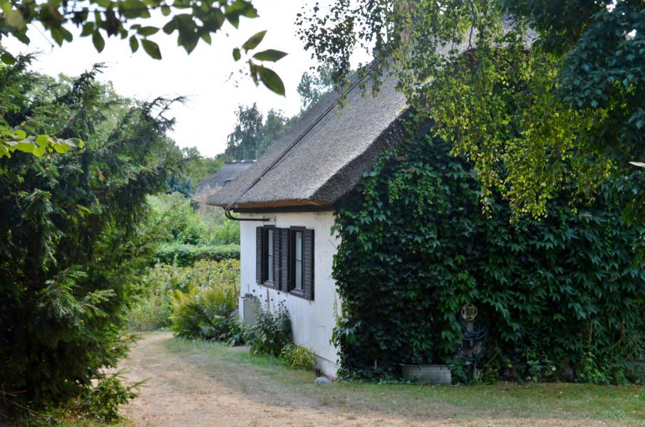 Ahrenshoop