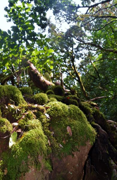 Anaga Gebirge