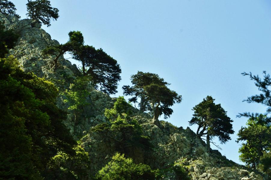Imbros Schlucht