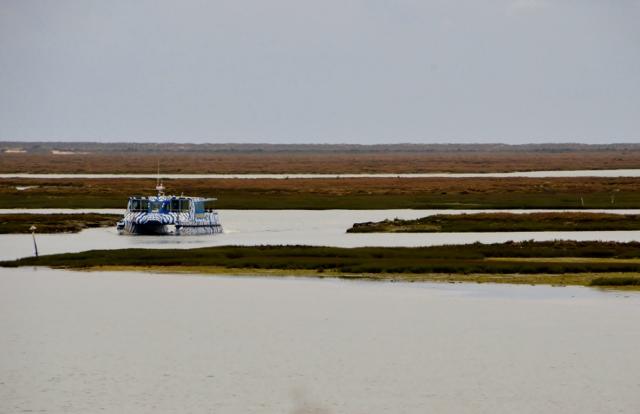Lagunenlandschaft-Ria Formosa