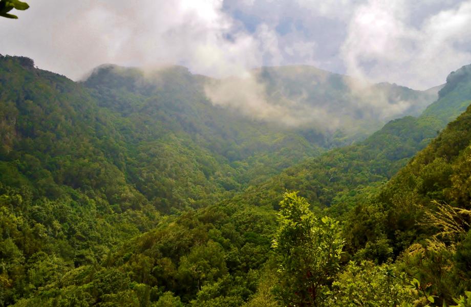 Anaga Gebirge