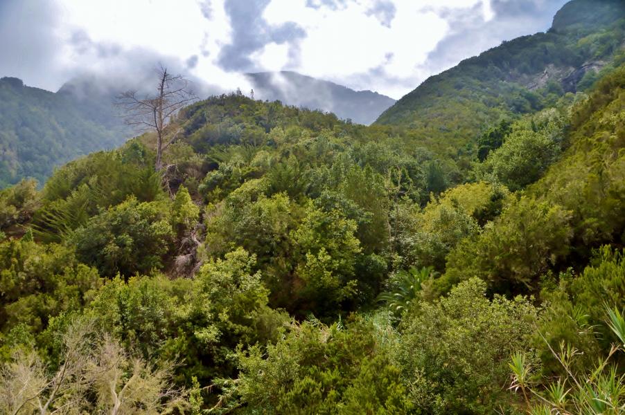 Anaga Gebirge