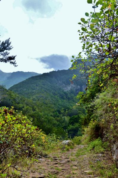 Anaga Gebirge