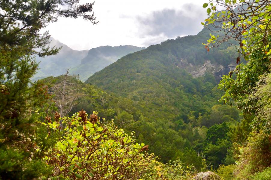Anaga Gebirge