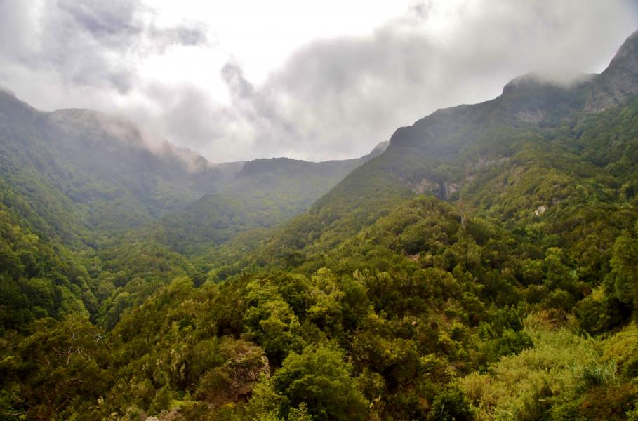 Anaga Gebirge
