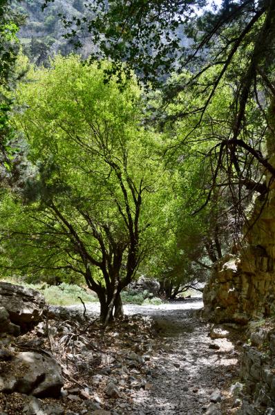 Imbros Schlucht