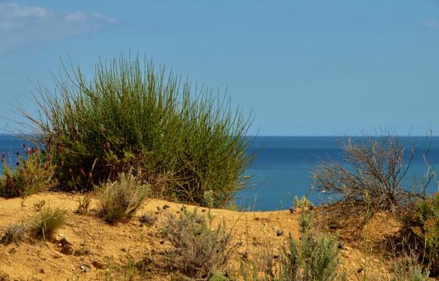 Steilk&uuml;ste  Olhos de Agua