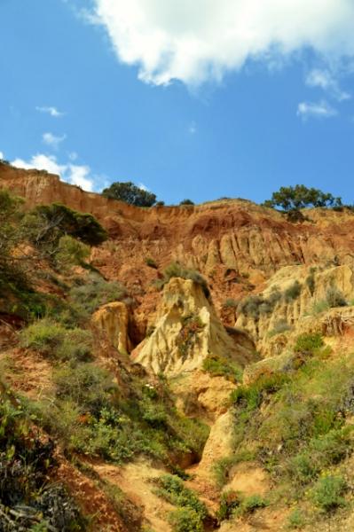 Steilk&uuml;ste  Olhos de Agua
