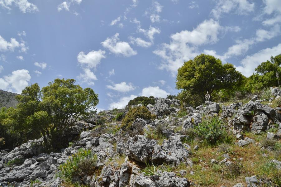 Lassithi Hochebene