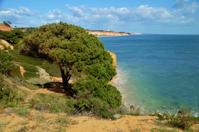 Steilk&uuml;ste  Olhos de Agua