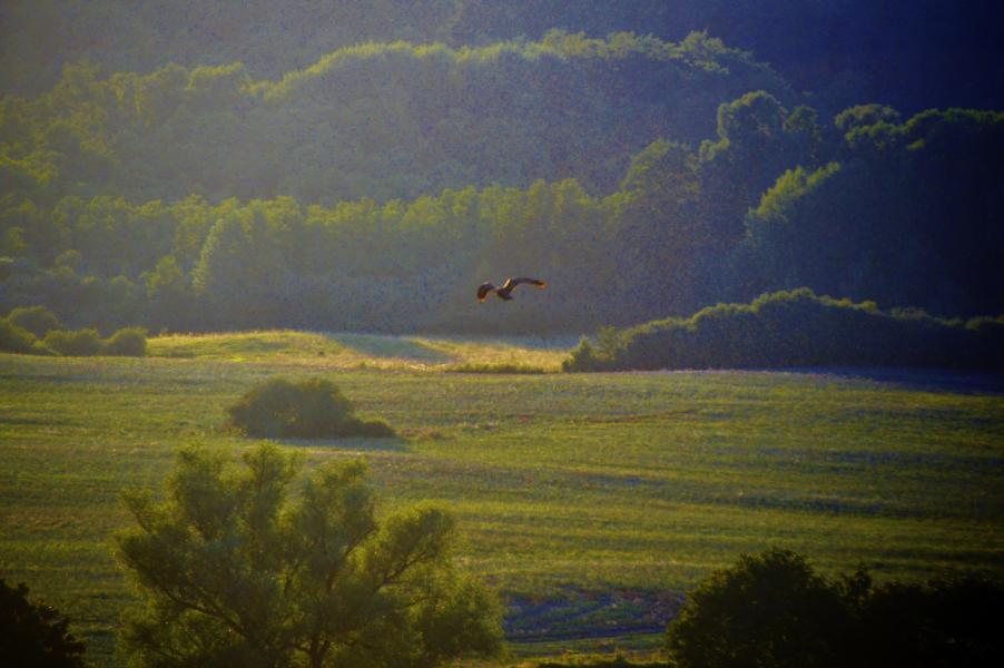 Am Gro&szlig; Upahler See