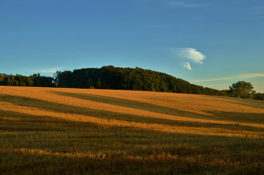 Am Gro&szlig; Upahler See