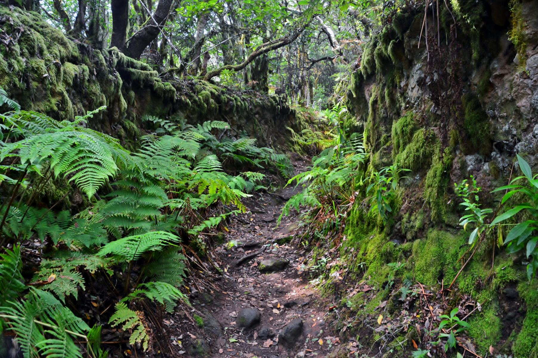 Anaga Gebirge